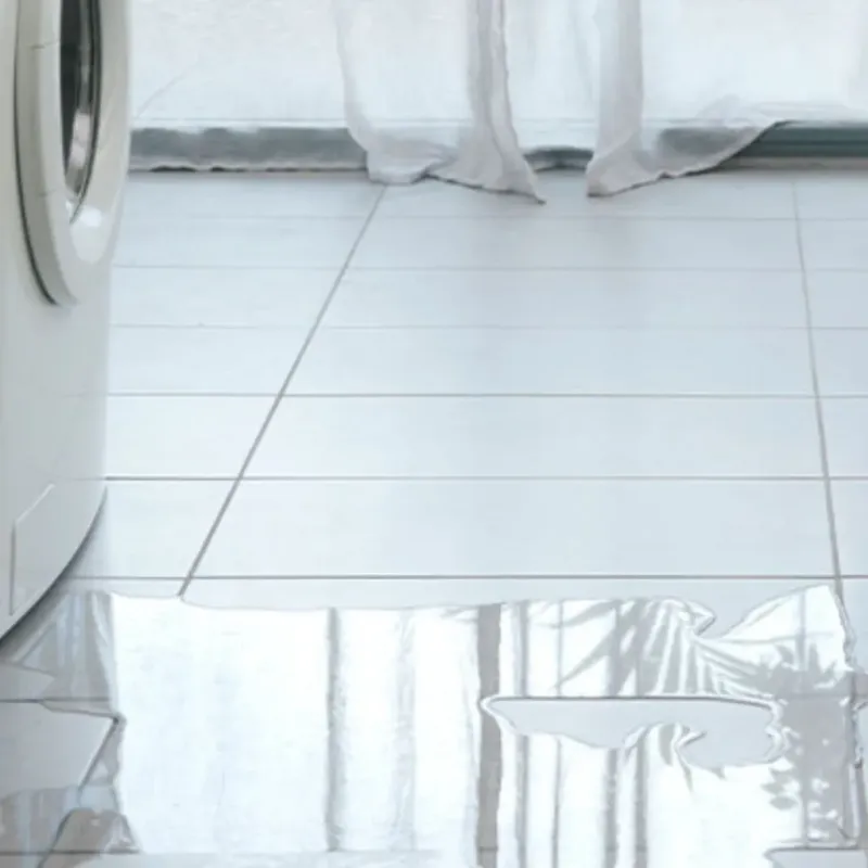 Appliance Leak Cleanup in North Myrtle Beach, SC