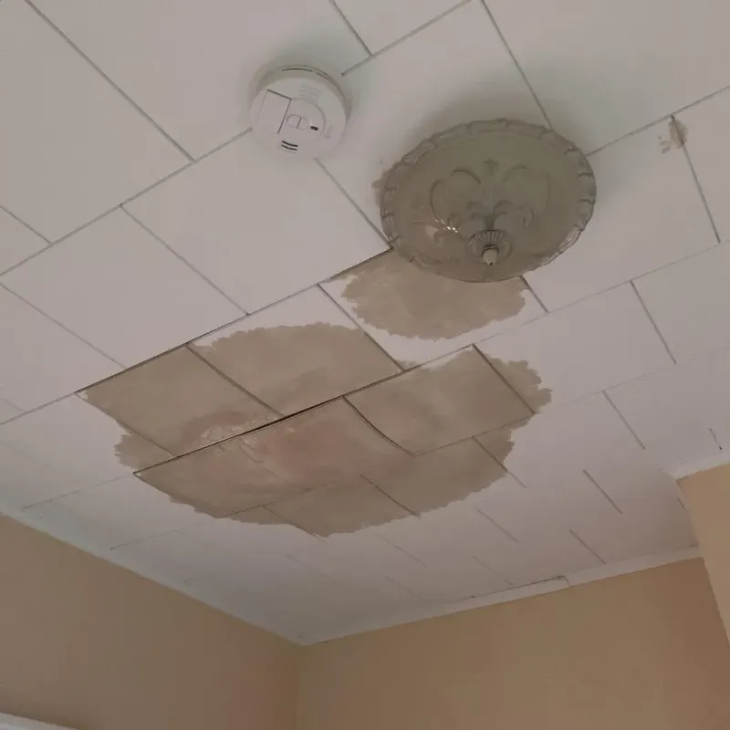 Ceiling Water Damage Repair in North Myrtle Beach, SC