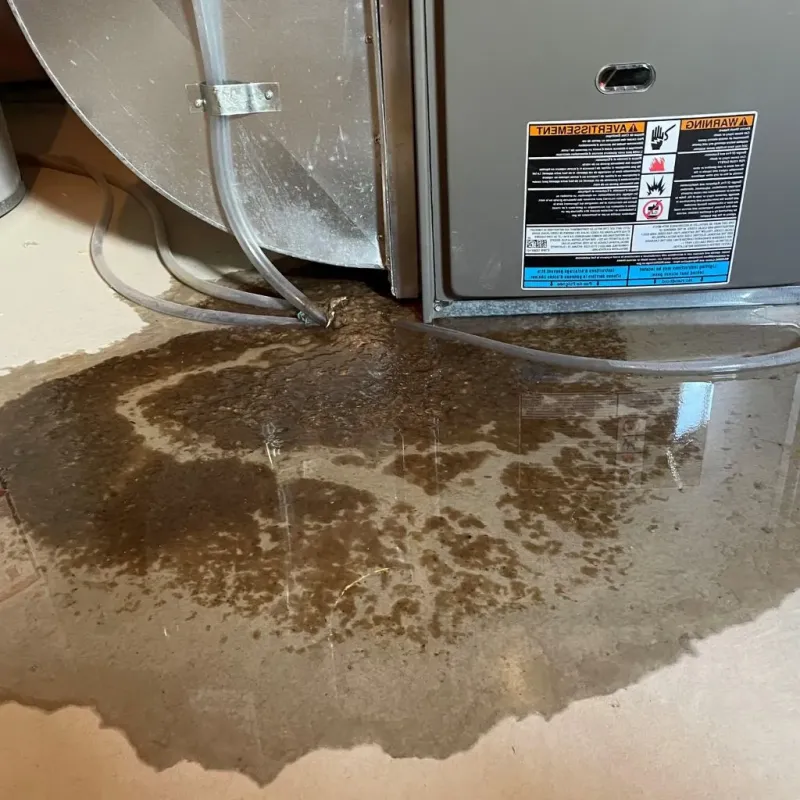 Pipe Burst and Leak Restoration in North Myrtle Beach, SC